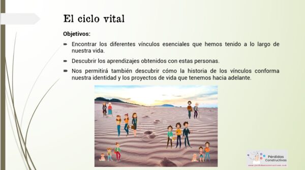 Guía 27 _ El ciclo vital - Imagen 2